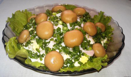 Рецепты салаты с курицей